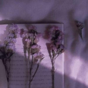 让人瞬间心痛的优美句子